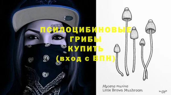 скорость Ладушкин
