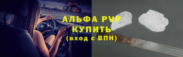 скорость Ладушкин