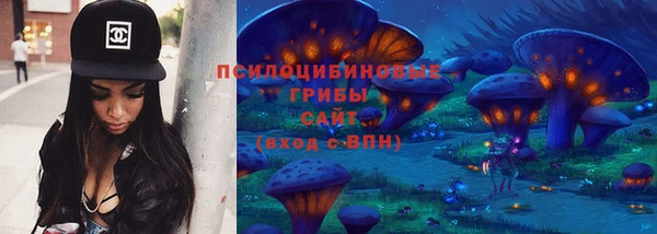 гидра Липки