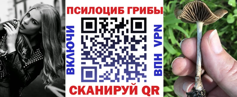 Галлюциногенные грибы GOLDEN TEACHER  где найти   Пермь 