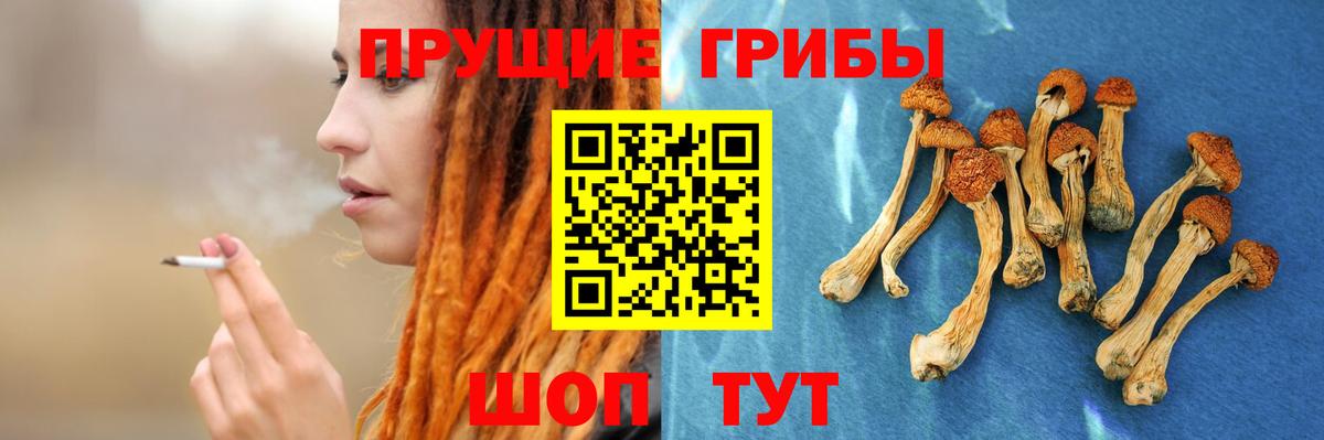 Галлюциногенные грибы GOLDEN TEACHER Пермь