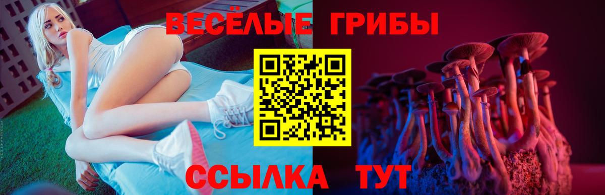 где продают   Псилоцибиновые грибы GOLDEN TEACHER  Вход с VPN  Пермь  Галлюциногенные грибы мухоморы 